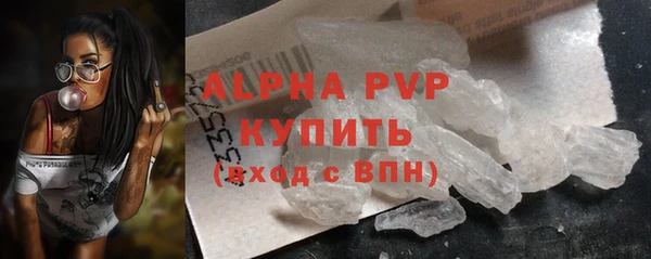 спиды Богородицк