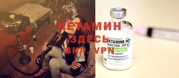 индика Кулебаки