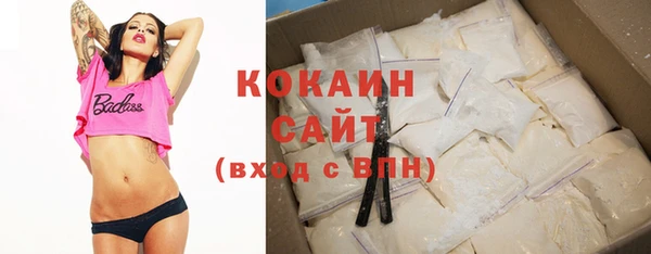 спиды Богородицк