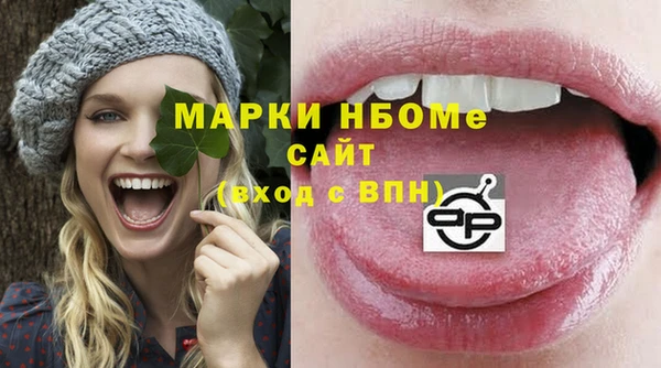 спиды Богородицк