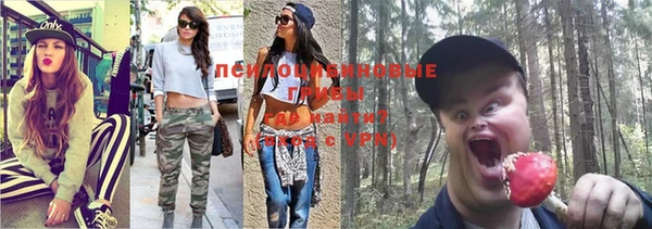 спиды Богородицк