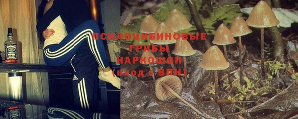 2c-b Белокуриха
