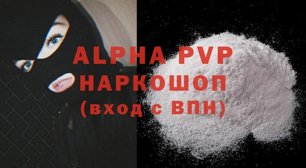 спиды Богородицк