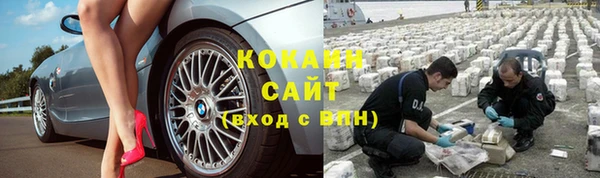 спиды Богородицк