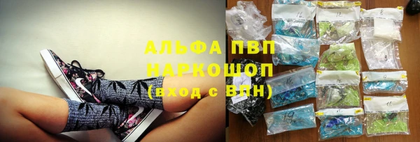 дживик Богданович