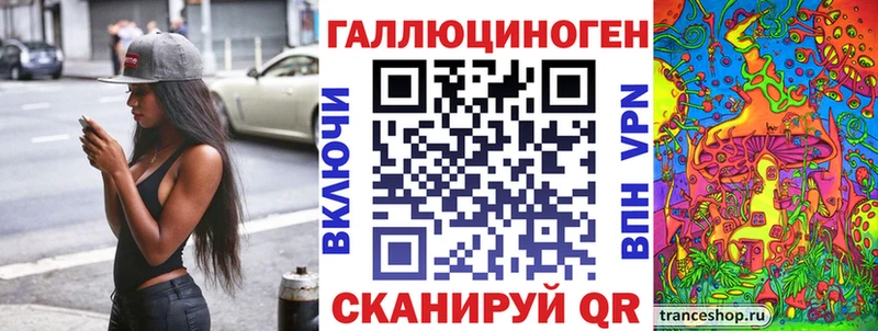 Галлюциногенные грибы Psilocybe  мега онион  Кологрив 