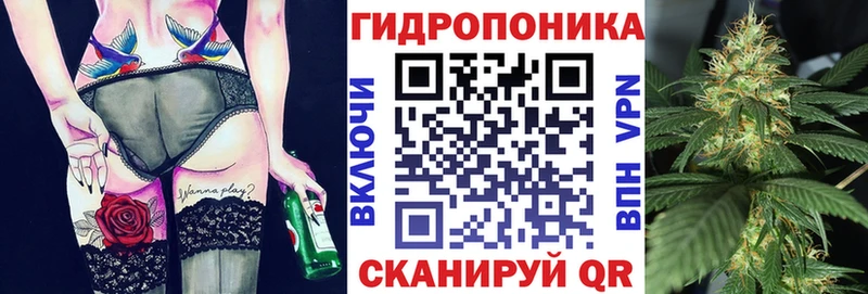 гидра как войти  наркошоп  Кологрив  Бошки марихуана сатива 